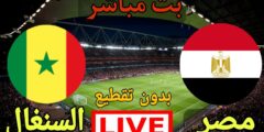 بث مباشر مباراة الجزائر والكاميرون اليوم الجمعة 25-3-2022 تصفيات كأس العالم الاسطورة بث تويتر