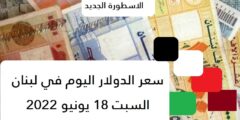 سعر الدولار اليوم في لبنان السبت 18 يونيو 2022