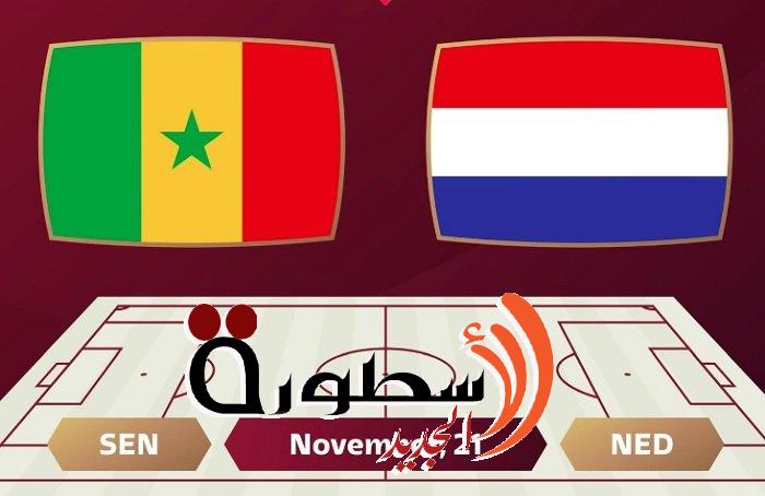 بث مباشر مباراة هولندا ضد السنغال