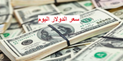 سعر الدولار امام الجنيه المصري اليوم الأحد 21 مايو 2023 .