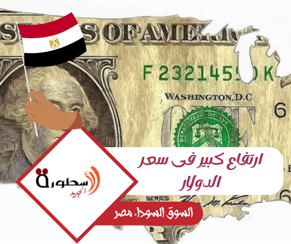 سعر الدولار اليوم فى مصر الجمعة 20 أكتوبر 2023 
