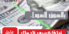 سعر الدولار فى مصر اليوم الاحد 29 أكتوبر 2023 بالسوق السوداء وجميع البنوك